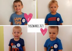 większy obrazek nr 5