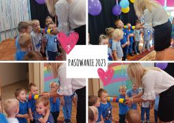 większy obrazek nr 6