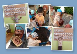 większy obrazek nr 3