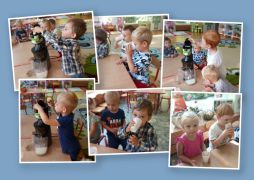 ilustracja do wpisu 
Dzień Jabłka