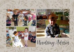 większy obrazek nr 3