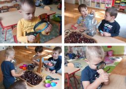 większy obrazek nr 5