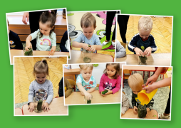 większy obrazek nr 2