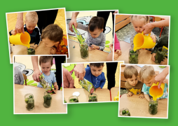 większy obrazek nr 3