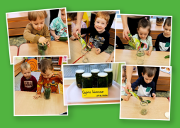 większy obrazek nr 4