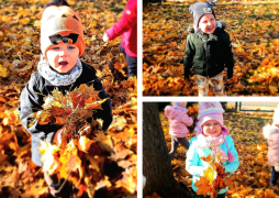 większy obrazek nr 5