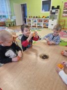 większy obrazek nr 5