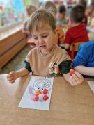 większy obrazek nr 5