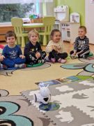 większy obrazek nr 34