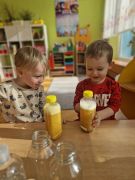 większy obrazek nr 27