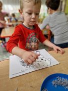 większy obrazek nr 7