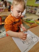 większy obrazek nr 9