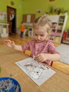 większy obrazek nr 11