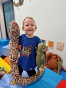 większy obrazek nr 15