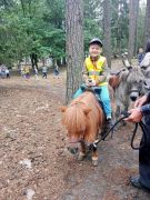 większy obrazek nr 30