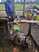 większy obrazek nr 33