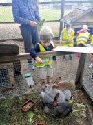 większy obrazek nr 25