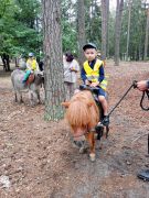 większy obrazek nr 4