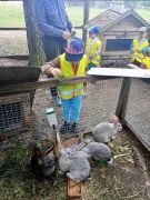 większy obrazek nr 7