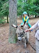 większy obrazek nr 34