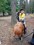 większy obrazek nr 10