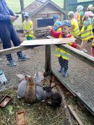 większy obrazek nr 38