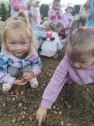 ilustracja do wpisu 
Akcja ekologiczna- Zbiórka żołędzi dla Białostockiego ZOO Akcent