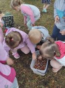 większy obrazek nr 2