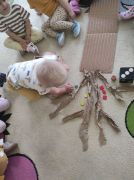 większy obrazek nr 5