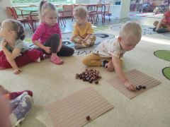 większy obrazek nr 12