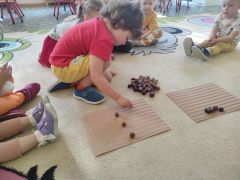 większy obrazek nr 13