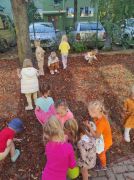 większy obrazek nr 14