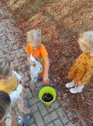 większy obrazek nr 15