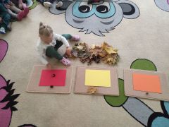 ilustracja do wpisu 
"Kasztany, liście, żołędzie"- próby tworzenia zbiorów oraz przeliczania ich elementów