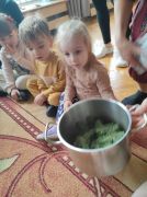 większy obrazek nr 8