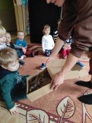 większy obrazek nr 21