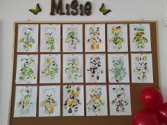 większy obrazek nr 7