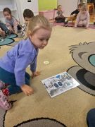 większy obrazek nr 3