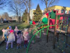 większy obrazek nr 7