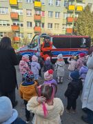 większy obrazek nr 15