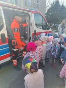 większy obrazek nr 16