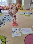 większy obrazek nr 5