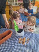 większy obrazek nr 2