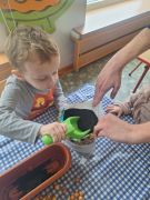 większy obrazek nr 3