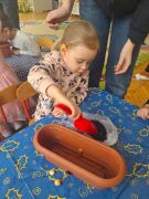 większy obrazek nr 5