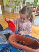 większy obrazek nr 7