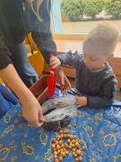 większy obrazek nr 8