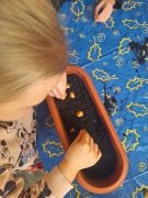 większy obrazek nr 10