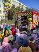 większy obrazek nr 2