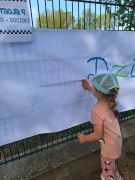 większy obrazek nr 13